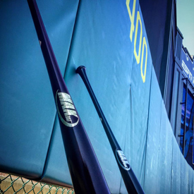 Bats against a fence