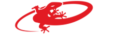 Lizard Skins Logo