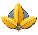 Yellow Birch Icon